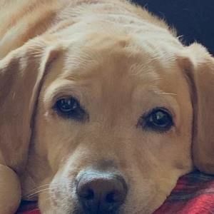 Meet your Posher, Sue